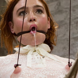 Jodi Taylor: Eager slut elaborately bound, caned, zapped and fucked!