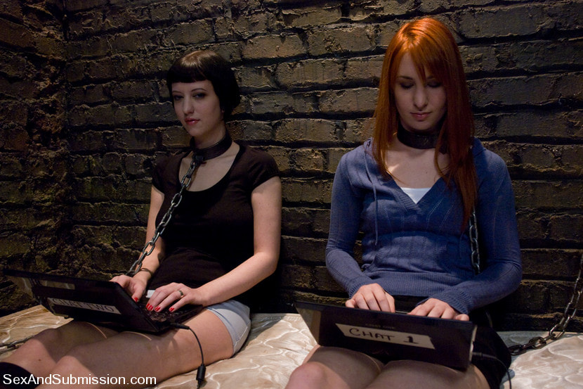 Calico and Cherry Torn's Live Feed
