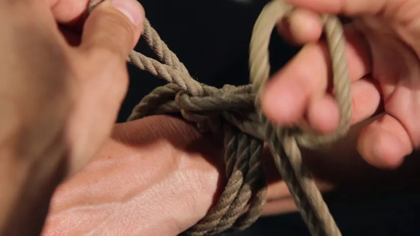 Kanso - Shibari 101 - Basic Column Ties | Picture (3)