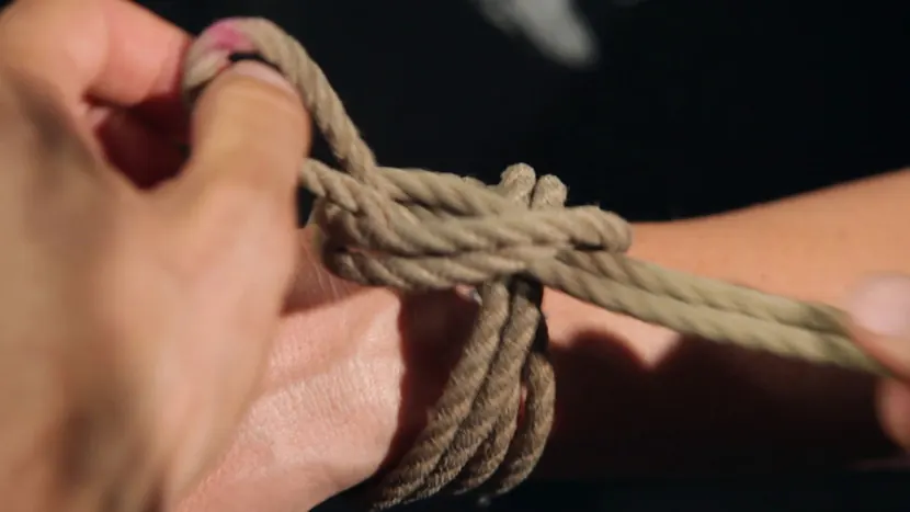 Kanso - Shibari 101 - Basic Column Ties | Picture (5)