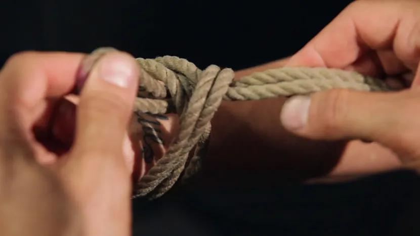 Kanso - Shibari 101 - Basic Column Ties | Picture (18)