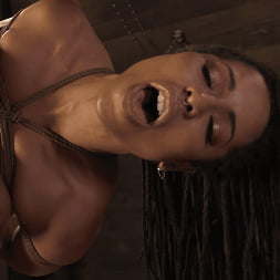 Memories: Kira Noir and King Noir