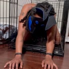 King Noire in 'Puppy Play: King Noire and Jet Setting Jasmine Find Halo Out Of Her Cage'