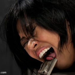 Krissie Dee Punished by Sebastian Keys on DeviceBondage!