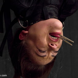 Kristina Rose Captured and fucked in extreme bondage positions
