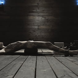 Down and Dirty: Krysta Kaos
