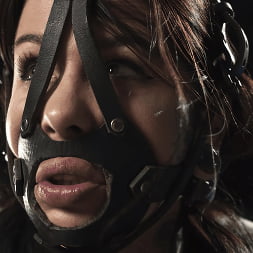 Down and Dirty: Krysta Kaos