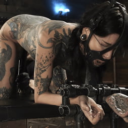Down and Dirty: Krysta Kaos