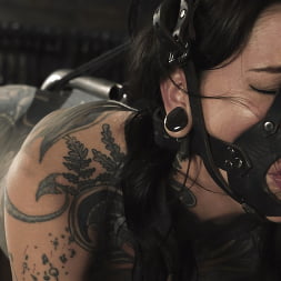 Down and Dirty: Krysta Kaos