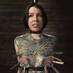 Down and Dirty: Krysta Kaos
