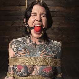 Krysta Kaos: The Return of Kaos