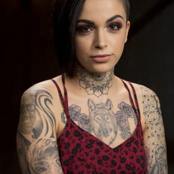 Breaking the New Girl - Leigh Raven