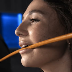 School Of Submission: Liz Jordan - Day 1