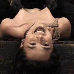 School Of Submission: Liz Jordan - Day 4