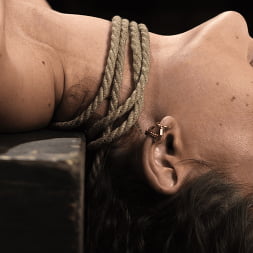 School Of Submission: Liz Jordan - Day 4