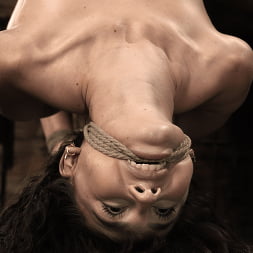 School Of Submission: Liz Jordan - Day 4