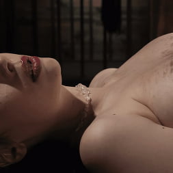Lola Mai: Predicament Bondage and Extreme Torment
