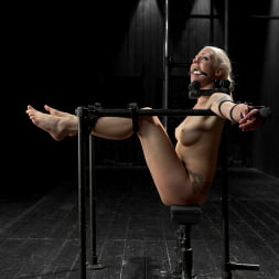 Lorelei LeeはUnforgiving Device Bondageに屈した