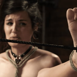 Luna Lovely: Suspension Bondage, Torment, and Sybian Orgasms!