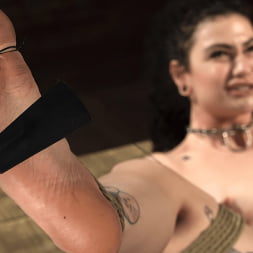 Lydia Black Suffers in Grueling Bondage