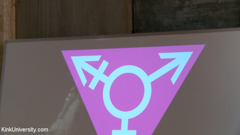 Fuck Gender! Why it's Not About Genetalia.