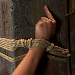 Hot sexy Hawaiian is bound to a pole, lifted to her tip toes with a brutal crotch rope. Made to cum!