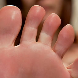 Maitresse Madeline's POV foot fetish teaser BONUS!