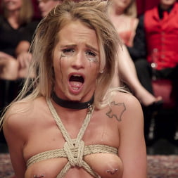 The Southern Belle and The Depraved Anal Slave