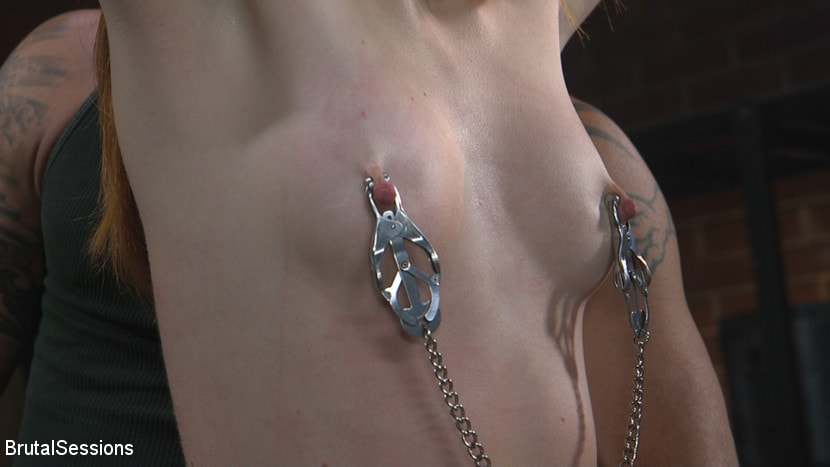 Maya Kendrick gets her whore holes fucked and flogged in bondage