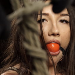 Fresh Meat: Maya Woulfe Endures Extreme Bondage and Nonstop Torment