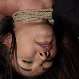 Fresh Meat: Maya Woulfe Endures Extreme Bondage and Nonstop Torment