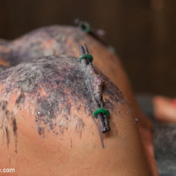 Mia Lelani - Big Titted Cunt Tormented - Live Part 1