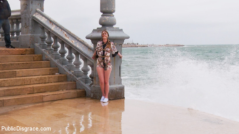 Statuesque Blonde, Ashley Lane, Drenched, Defiled, and Shamed