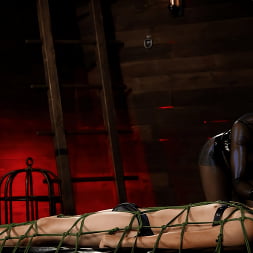 Suffer For Your Goddess: Cole Church Submits To Goddess Tangent