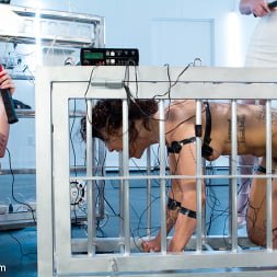 Audrey Hollander and Mz Berlin Get Worshipped, Electrosluts Style!