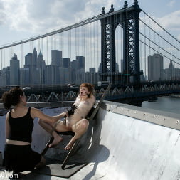 WIREDPUSSY IN NEW YORK  5