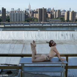 WIREDPUSSY IN NEW YORK  5
