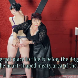 Sensual Flogging 101 - with Cleo Dubois