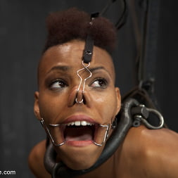 Defiled - Nikki Darling
