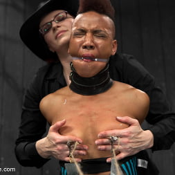 Defiled - Nikki Darling