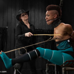 Defiled - Nikki Darling
