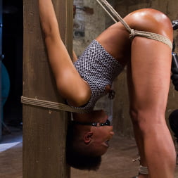Live! Feisty whore- bound, tormented and fucked!
