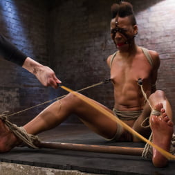 Live! Feisty whore- bound, tormented and fucked!