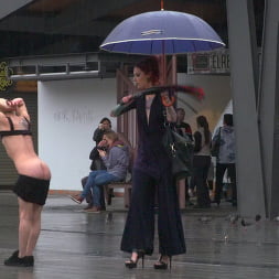 熱狂した雌犬は雨の中でぶら下がって鞭打ちを受けた！ - パート1