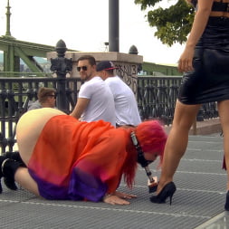 Anal Whore Services all the Shoes