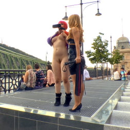 Anal Whore Services all the Shoes