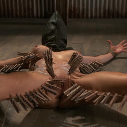Hardcore Suffering and Brutal Orgasms