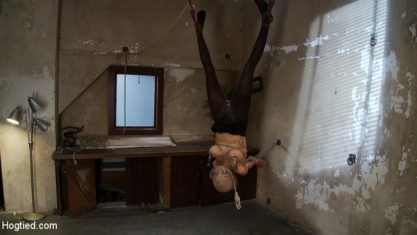 THE RANSOM A Hogtied feature movie. A fantasy BDSM abduction movie starring Rain DeGrey