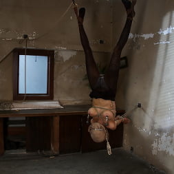 THE RANSOM A Hogtied feature movie. A fantasy BDSM abduction movie starring Rain DeGrey