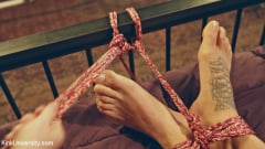 Reed Jameson - Rope Bondage for Sex | Picture (27)